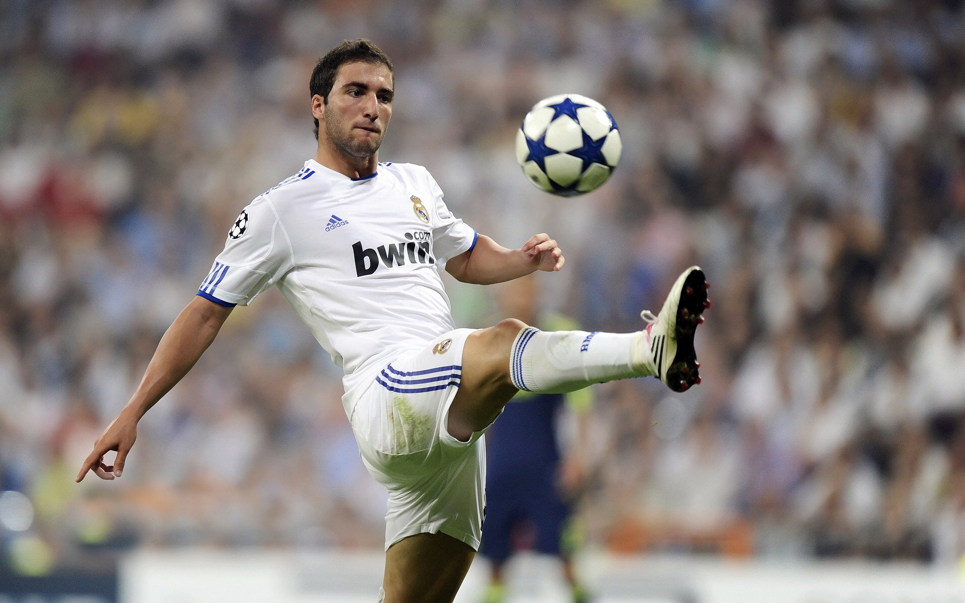 “舞动梦想!金牛区城北体育馆上演世界级运动舞蹈大秀”