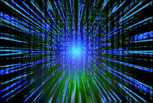 JIUYOU GAMING-新加坡队未来之路：如何在全球乒乓赛事中争夺更多荣誉，新加坡乒乓球厉害吗