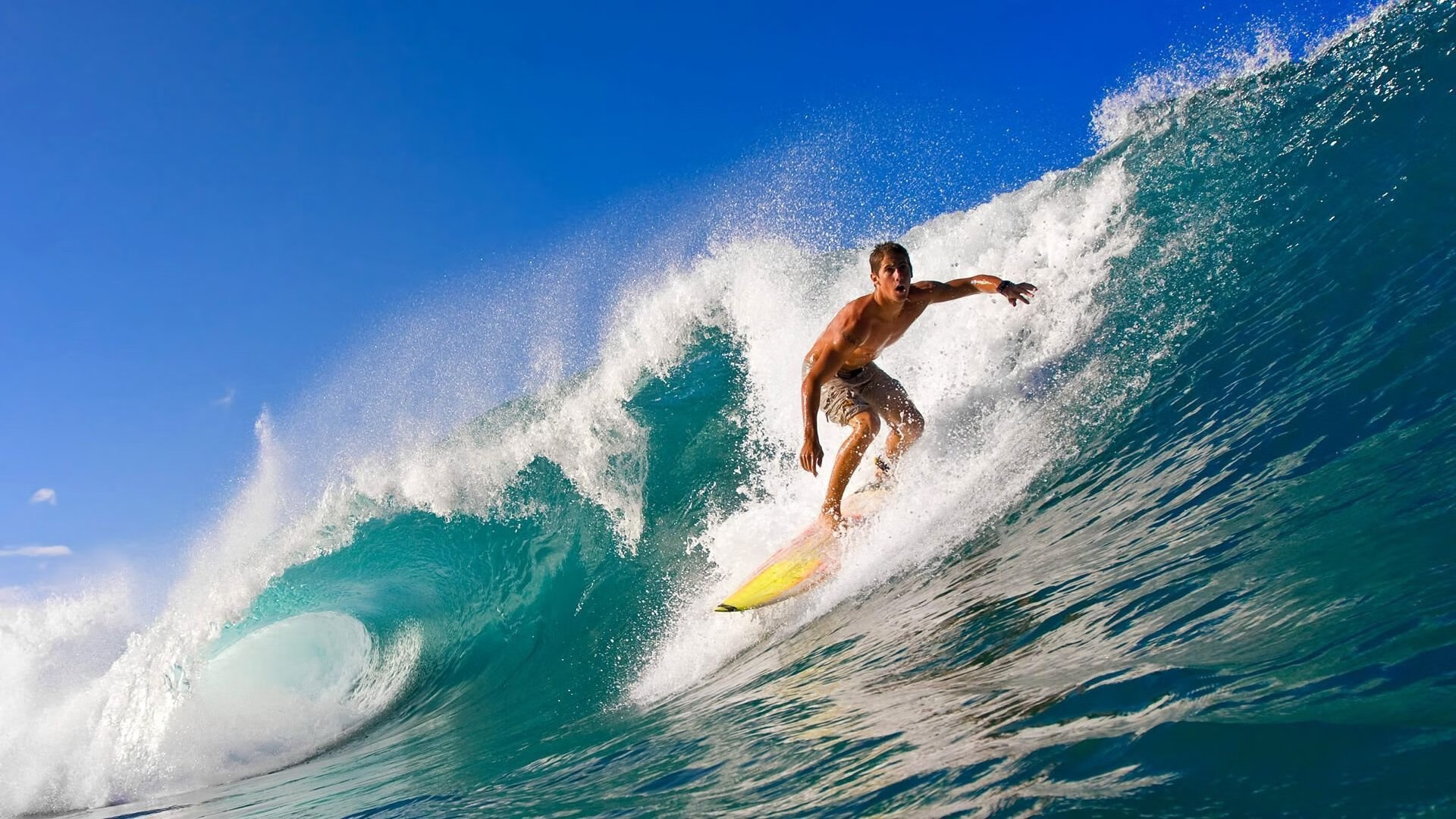 “诺克·达维德·彼得森在南非羚羊队的超级表现”